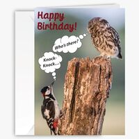 90210 Exotics Owl Happy Birthday Greeting Card – Cute, Humerous for All Ages - Fun Sentiment I