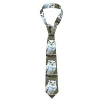 Men's Necktie - Stylish and Durable Polyester Fiber Tie for Business, Daily Life, and Special O