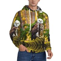 Cute Brown Cartoon Owls Men'S Fleece Hooded Lightweight Casual Pullover Drawstring Hoodie Pocke