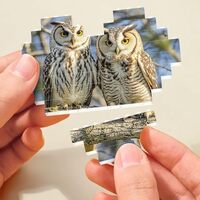 Owls on a Branch Building Brick Puzzles Heart Building Block Puzzle Personalized 3D Building Brick P