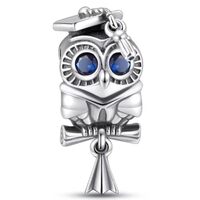 PHCLASY Graduation Owl Charms Compatible for Bracelets 2025 Graduation Charm Jewellery for Women