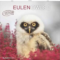 Alpha Edition - Owls 2026 Brochure Calendar, 30 x 30 cm, Wall Calendar with Space for Notes and Appo