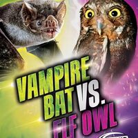 Vampire Bat Vs. Elf Owl (Animal Battles)