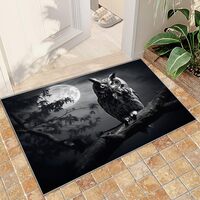 Owl 2x3 Entryway Rug for Bedroom, Animal Pattern for Living Room Rugs, Washable Non-Slip Kids Owl Ru