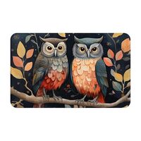 Myfsucce Cute Owl Animal Indoor Door Mat 20 x 31.5 Inch Area Rug Non-Slip Absorbent Floor Mat for Ki