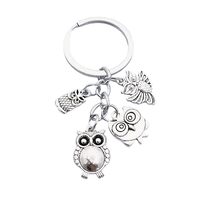 PYNASA Owl Keychain Set for Women Men, 4-Tone Owl Charm Set Key Chain Accessories Gifts For Car Key 