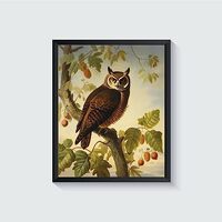 Owl Bird Vintage Poster Art Print Retro Wall Art Poster Decor Nature, Avian Painting Artwork for Bed