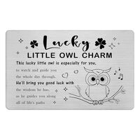 Laluminter Lucky Little Owl Charm Stainless Steel Wallet Card Inserts - Good Luck Token with Owl Des