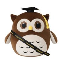 Finebee Graduation Brown Owl Stuffed Animals, Lovely Owl Plush Graduation Gifts with Grad Cap Sash D