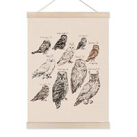 Koesus Owls Species Wall Art Poster Hanger Frame 12x16 Inch, Types of Owl Educational Canvas Picture