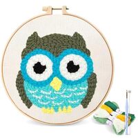 Hlison Punch Needle Kits Adults Beginner, Owl DIY Easy Punch Needle Embroidery Kit with Hoop, Instru