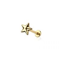 Pierced Owl 18GA 316L Stainless Steel Threadless Push In Star Flat Back Stud (Gold Tone)