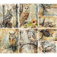 Owl Rice Papers, 8" x 10.5" (6 Sheets) – Decoupage Paper 6X Designs for Collage, Mix