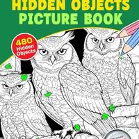 Mystical Owls Hidden Objects Picture Book: Discover Hidden Objects in the Enchanted World of Nocturn