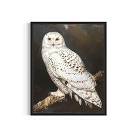 Snowy Owl Vintage Poster Art Print, Retro Animal Decor Nature, Wildlife Wall Decor Artwork Decoratio