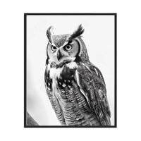Great Horned Owl Art Prints Posters, Black and White Animal Photography Wall Art, Wildlife Nature Ph