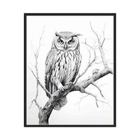 Owl Art Prints Posters, Black and White Animal Photography Wall Art, Wildlife Nature Photo, Exotic A