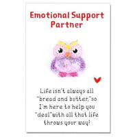 PLwelth Pocket Hug Owl Token Resin Animal Emotional Support Gifts with Inspirational Positive Pocket
