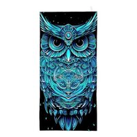 Amasnay Blue Owl Cartoon Microfiber Beach Towel Sand Free Towels Thin Quick Dry Super Absorbent Over