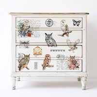 Peacoblue Rub on Transfer Decal Sticker for Furniture Craft Decor 6"x12" Owl and Text, 3Pc