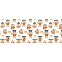 susiyo 3 Pack Gift Wrapping Paper Bundle Cute Little Owls Graduation Wrapping Paper Roll Packing Pap