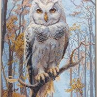 Aine - Wildwood Owl A1016, Counted Cross Stitch Kit, 11¾" x 15¾", for Beginn