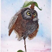 Wizardi Counted Cross Stitch kit - Owl with Mouse 1242A Alisena