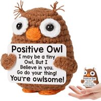Mini Positive Owl Crochet Animals, Mothers Day Emotional Inspirational Support Gifts for Mom, Positi