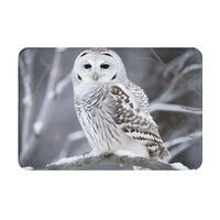 BWQTRYD Winter White Owl Bathroom Rugs Absorbent Microfiber Bath Mats Flannel Area Rug Rubber Backin