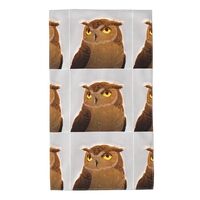 WHJDPP Flexible owl Picture Towel Towels 27.5x16in Skin-Friendly Absorbent Fluffy and Soft for Bathr