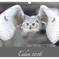 Owls 2026 (Wall Calendar 2026 DIN A3 Landscape), CALVENDO Monthly Calendar: Owls - The Hunters of th