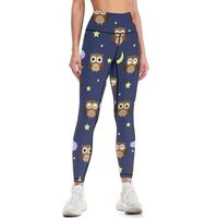 Cartoon Owl Pattern High Waist Soft Yoga Pants for Women Running Yoga Workout Leggings Tights 2XL Bl