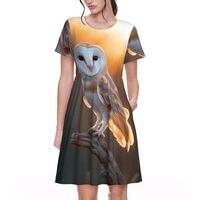 NAITIZ Women's Short Sleeve Round Neck barn owl_ Print A-Line Summer Casual Dress with Pockets,