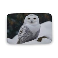 DMHVGEW Bathroom Rugs Snow Owl Bath Mat Non-Slip Shower Rug Soft Absorbent Floor Mat for Living Room