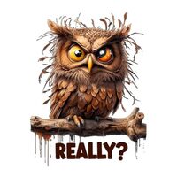 Angry Owl 5-Inch Funny Sticker &ndash; &ldquo;Really?&rdquo; Bird Cartoon Decal &ndash; Cute Animal 