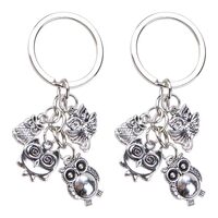 WSDMAVIS 2Pcs Chic Owl Keychain for Women Men Owl Charm Keyring Animal Key Chain Accessories for Car