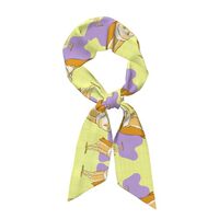 YYHWHJDE Standing Owl Picture Women's Fashion Scarf Suitable as Scarves, hair scarves, headband