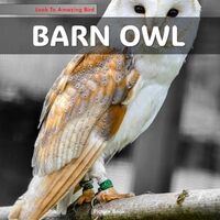 Barn Owl: A perfect Coffee Table Picture Book - For Bird Watchers and Nature Enthusiasts .