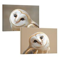 PHOENIX Serene Owl Wall Art Decor Set of 2 Framed Canvas Realistic Animal Portrait Calming Bathroom 