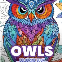 Owls Colouring Book Vol 3 : A Fun & Calm Activity for Young Learners