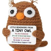 ILSYINH Positive Crochet Animals Owl Gifts for Friends Coworkers, Inspirational Cheer Up Gifts for W