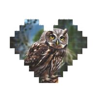 Wild Owl Birds Building Brick Block Puzzle Heart Shaped, Personalized Picture Puzzles Photo Jigsaw P