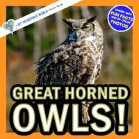 Great Horned Owls!: A My Incredible World Picture Book for Children (My Incredible World: Nature and
