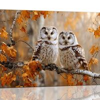 Fall Canvas Wall Decor Owl Pictures Wall Art Autumn leaves Painting Print Wildlife Artwork Decoratio