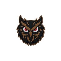 Ruoming 1 PVC Tactical Owl PVC Morale Patch, Glow-in-Dark, Hook Fastener, 2.56 x 2.36 inches (Mud)