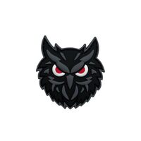 Ruoming 1 PVC Tactical Owl PVC Morale Patch, Glow-in-Dark, Hook Fastener, 2.56 x 2.36 inches (Black)
