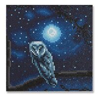 Night Owl Painting Diamond Art Kit by Make Market – Full Drill with Gems & Tools, 8" 