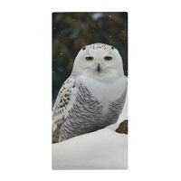 DMHVGEW Bath Towels for Bathroom Snow Owl Towel Shower Towel Quick Drying Camping Towels Super Absor