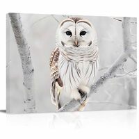 Winter Owl Canvas Print Wall Art - Cute White Owl Perch On Tree Branch - Wall Decor Modern Artwork P