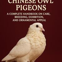 THE ULTIMATE GUIDE TO CHINESE OWL PIGEONS: A Complete Handbook on Care, Breeding, Exhibition, and Or
